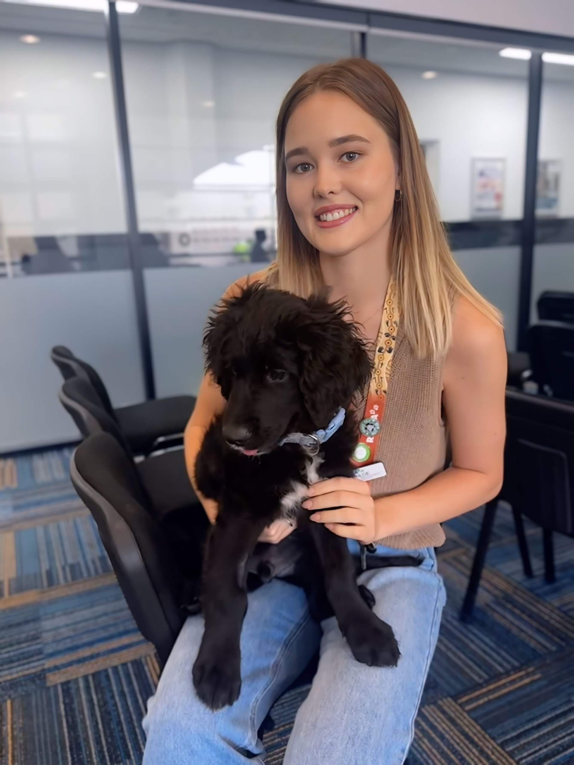 Powered by Passion: The Volunteers Behind RSPCA Queensland ...